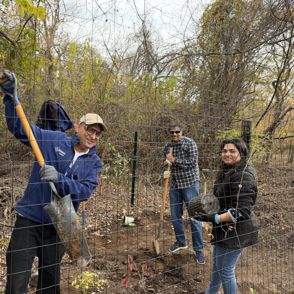 ORBIS America Team Planting Trees
