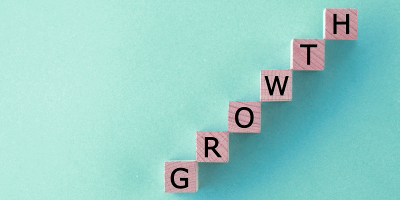 Alexis DiCola Key Takeaways From a Year of Growth Alexis DiCola Key Takeaways From a Year of Growth