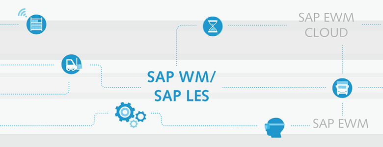 SAP WM/SAP LES: Roadmap to SAP S/4HANA solutions