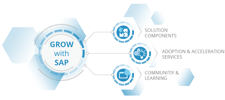 GROW with SAP components: Solution Components, Adoption & Acceleration Services, Community & Learning Components of GROW with SAP
