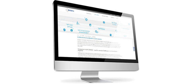 Supply Chain Execution with SAP solutions Supply Chain Execution with SAP
