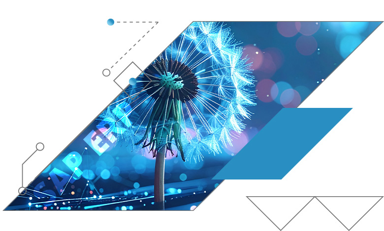 SAP ERP ORBIS assists you with SAP ERP support